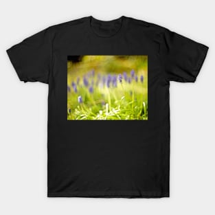 MUSCARI T-Shirt